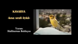 Sesli Öyküler-92 KANARYA-Halikarnas Balıkçısı (Cevat Şakir Kabaağaçlı)