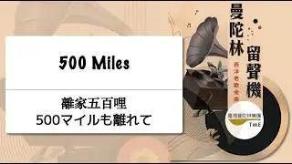 ✨會員搶先看🔥 500 Miles《離家五百哩》500マイルも離れて：Hedy West 曲、武藤理恵 編｜指揮：曾煒昕、臺灣曼陀林樂團