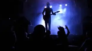 8 ног - Gold cobra (cover Limp Bizkit)