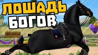ПОКУПКА ЛИППИЦИАНА | ЛОШАДЬ БОГОВ | Star Stable