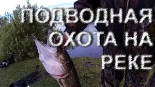 Подводная охота. Красивая река с чистой водой.