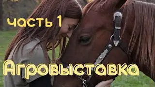 Агровыставка в Кропивницком (2021 год) 1 часть.
