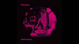 Skinshape - I Didn't Know (Official Audio)