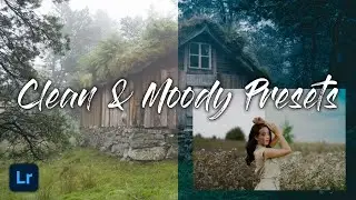 NO PASSWORD - CLEAN & MOODY LIGHTROOM PRESETS