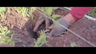 Livada farm Andros