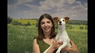 Wandern mit Hund im Westerwald: Ausflugstipp