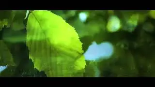 Peduli dan Sayangi Anak