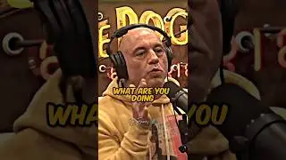 Why IQ Doesn't Mean Anything - Joe Rogan 😂 #jre #comedy #shorts
