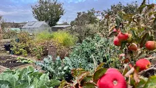Debbie’s plot tour ~ winding down ready for spring