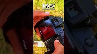 nikon camera ka settings b&w photo shoot#youtubeshorts #viral #shortvideo #photography #edit