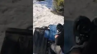 по весеннему лесу 