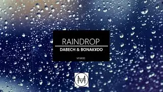 Raindrop - DABECH & BONAKYDO