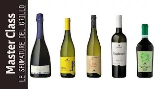 Il Grillo delle Cantine Europa 2022