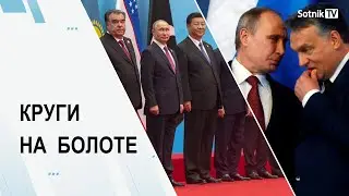 КРУГИ НА БОЛОТЕ