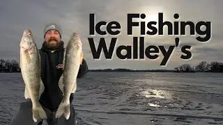 ICE FISHING | WALLEYES | NORTHERN WI | 2023