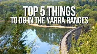 Top 5 Things To Do In The Yarra Ranges and Surrounds
