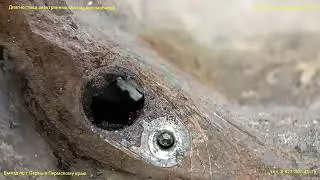 АБС Газель Некст. Ищем неисправность