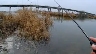 Как дела на работе? Был на рыбалке!