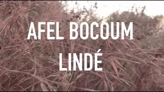 Afel Bocoum - The Story of 'Lindé'