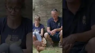 King Charles 111 adopts a hen