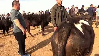 Chust Mol Bozor Yangi Video 2022 Чуст Мол Бозор Янги Видео