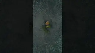 What is your happiness? 🫶🏽 