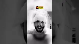 Персидский дагестанец сошёл с ума