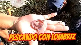 Pescando con lombriz en el Río Blanco