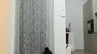 Stupid video