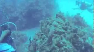 2013 Glover Atoll, Belize - Cool Shark Fly-by.