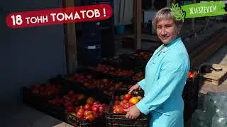 ЖИЗНЕНКИ 2021 - ИТОГИ