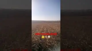 ДЕНЬ СУРКА : разбор фильма с АЛЬБЕРТОМ 