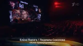 Кони