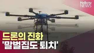 드론의 진화 '말벌집도 퇴치'ㅣ#헬로tv뉴스