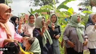Camelia Putra Genades /Khitanan : Jang Daffa /Pangsor -13-06-2024