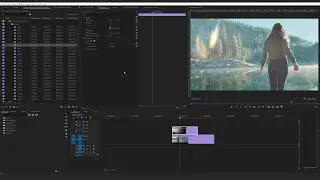 How to Change the Blend Mode in 8 Seconds | Premiere Pro CC