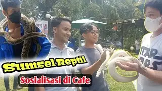 SUMSEL REPTIL SOSIALISASI DI TAMAN KENTEN RESTO & CAFE