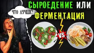 Сыроедение или ферментация, что лучше?