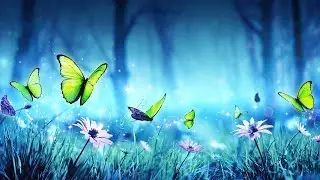 Détente Sommeil De La Musique: Belle Musique De Piano, De S'Endormir Vite, Le Sommeil Profond De La