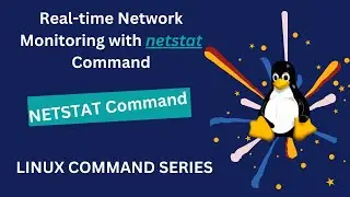 Real-time Network Monitoring with netstat Command| #netsat command| #devops_world