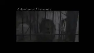 Lion says «Allah»