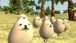 eggdog vacation