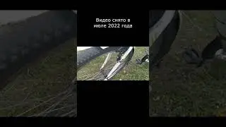 Колесо пылесборник на мотовелосипеде...