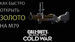Как быстро открыть золото на M79, РПГ-7, Кигма-2 в Call of Dutty Cold War