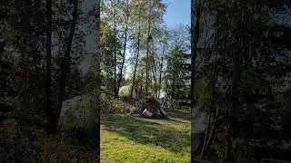 RIP Cottonwoods