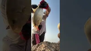 Fish on 🎣 🔥🔥