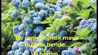 Mavi huydur bende...