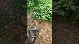 Заработок в деревне на покосе травы 2-часть сколько я зарабатываю за час? #покостравы #триммер