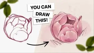 How to Draw Painted Florals (Peonies) in Procreate • Easy iPad Art Tutorial