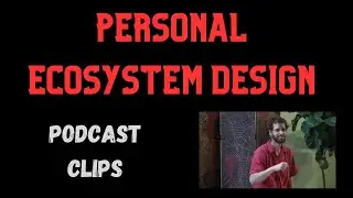 The Magic and Power of Personal Ecosystem Design for Success